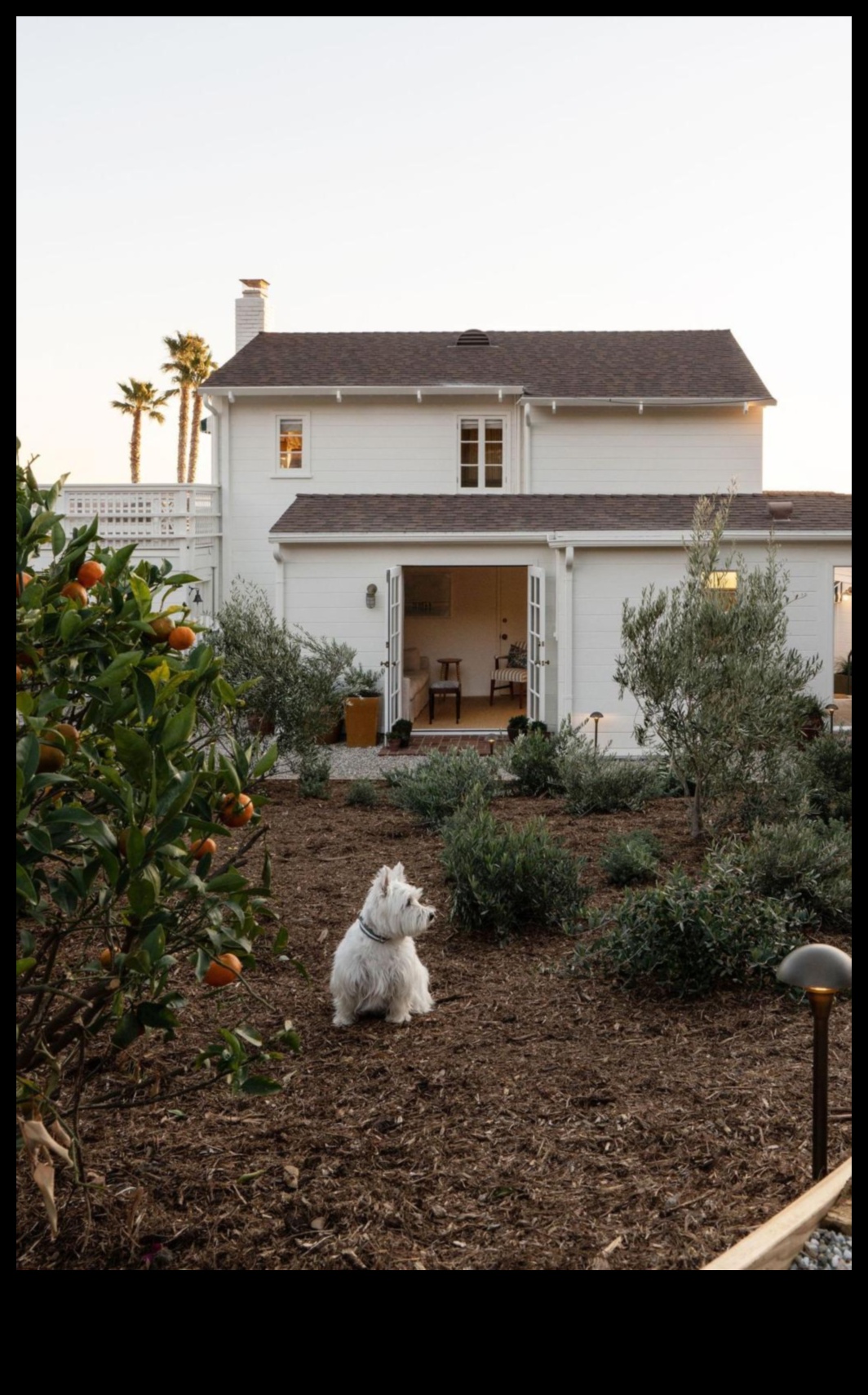 Timeless Haven: Arta de a proiecta cabane fermecătoare