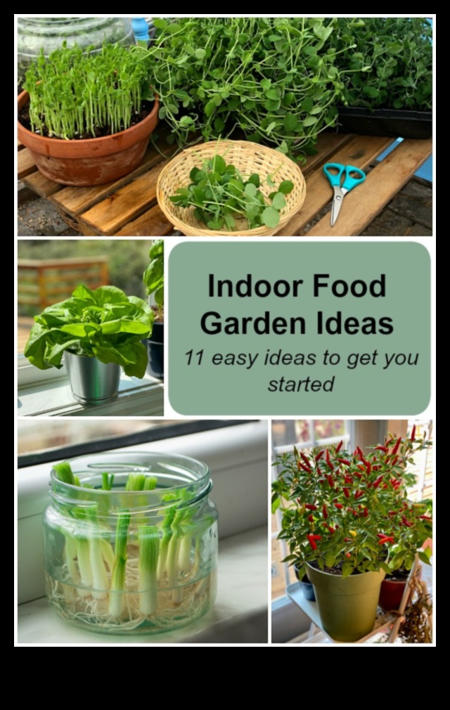 Grădini de dimensiuni mari Un ghid pentru cultivarea propriei alimente în interior 3 Grădini de dimensiuni mici: Dezvăluirea minunățiilor grădiniței de interior