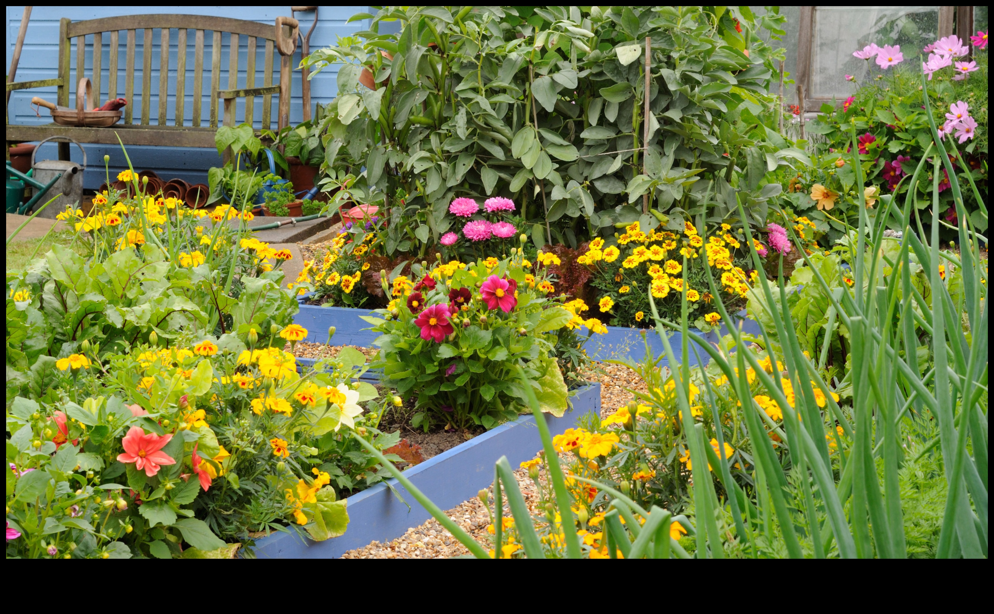 Cultivarea bucuriei: DIY-uri elegante pentru un refugiu încântător de grădină