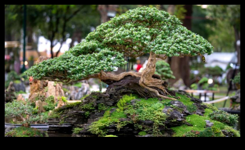 Liniște în miniatură Bonsai Bliss în grădinile japoneze 7 Bonsai Bliss: Lumi în miniatură în grădinile japoneze