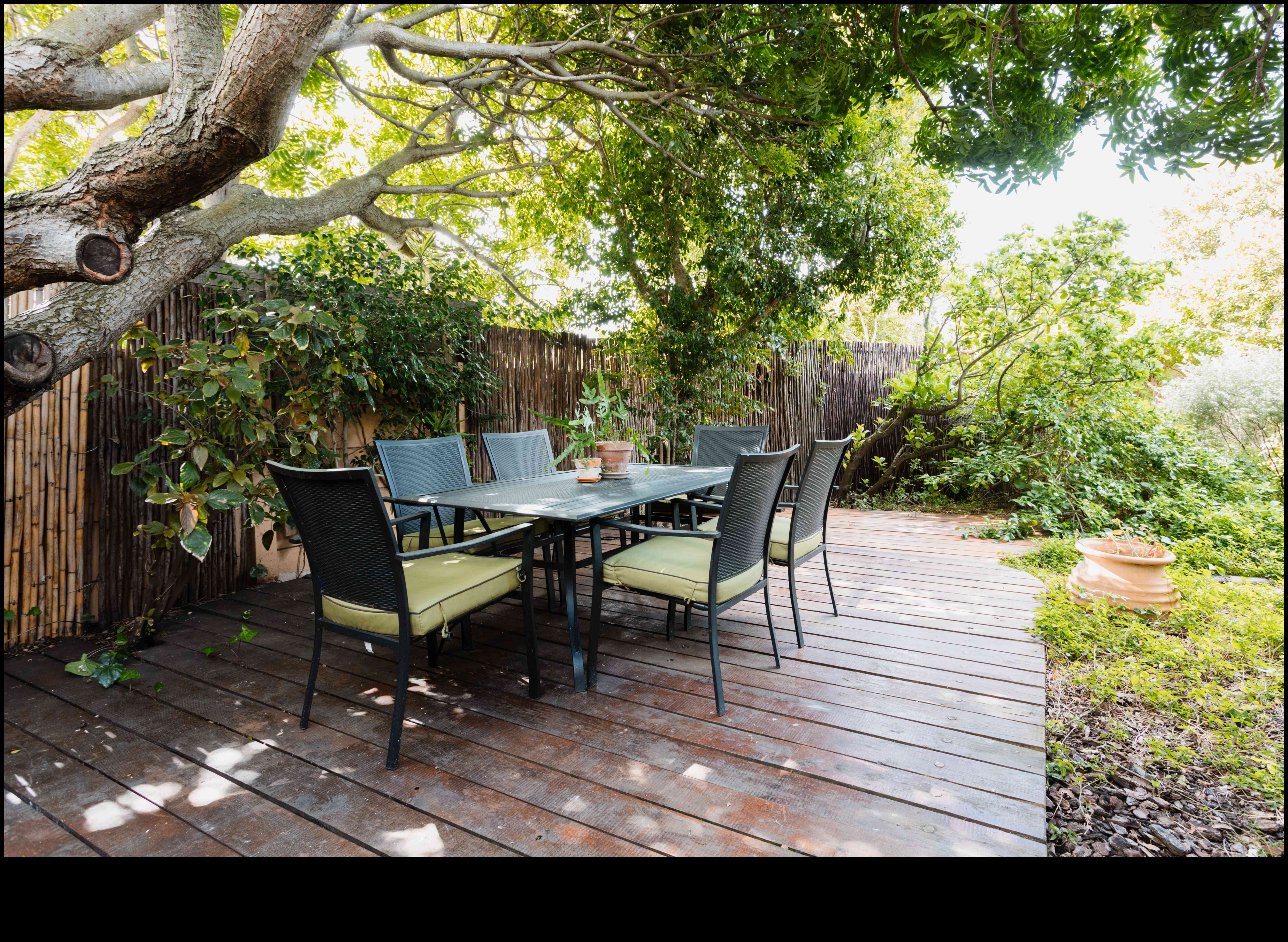 Cultivarea bucuriei: DIY-uri elegante pentru un refugiu încântător de grădină