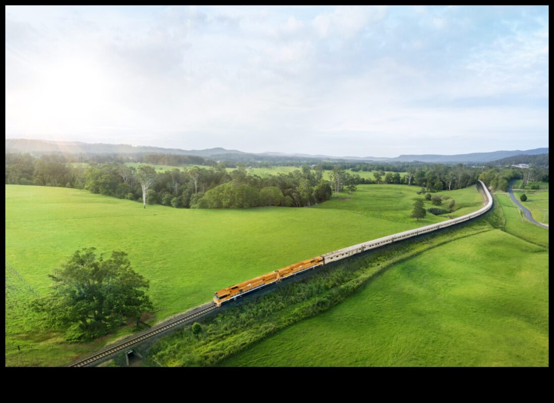 Expediții eclectice: călătorii diverse în fotografia contemporană