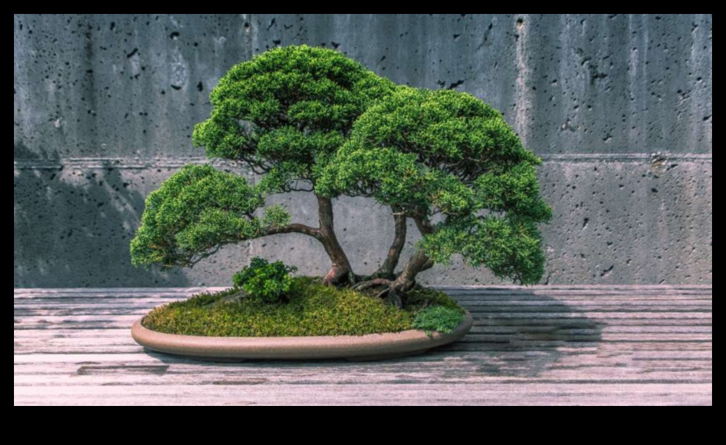 Liniște în miniatură Bonsai Bliss în grădinile japoneze 1 Bonsai Bliss: Lumi în miniatură în grădinile japoneze