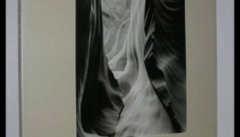 Simfonie vizuală: Stăpânește arta fotografiei cu educație expertă